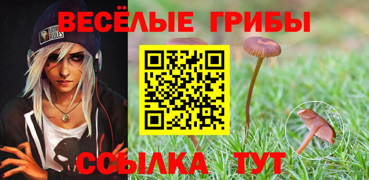 Псилоцибиновые грибы Magic Shrooms  Вход с VPN  Лянтор 